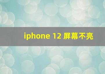 iphone 12 屏幕不亮